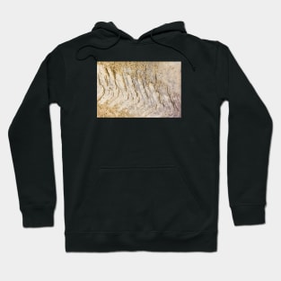 Tire print in the mud Hoodie